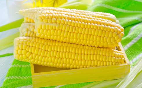 新手怎么做玉米期貨？玉米期貨交易