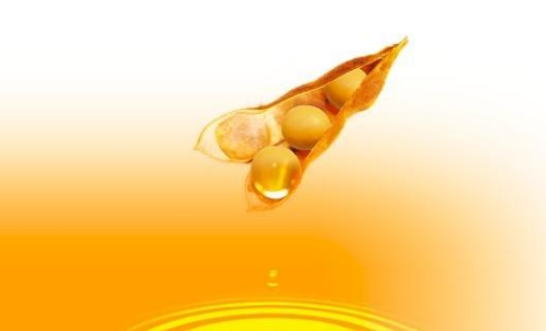 豆油期貨波動一個(gè)點(diǎn)多少錢？豆油期