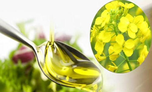 菜粕期貨買入手續(xù)費支出額度低嗎？