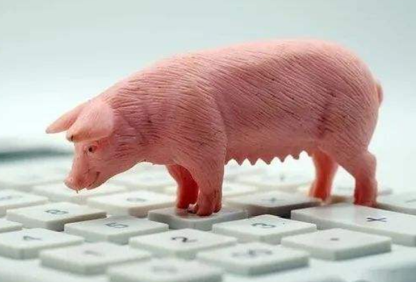 生豬期貨是什么？做一手生豬期貨最