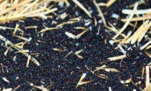 新手計算菜粕期貨的手續(xù)費簡單嗎？