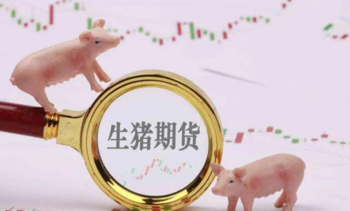生豬期貨未來走勢將會如何？生豬期